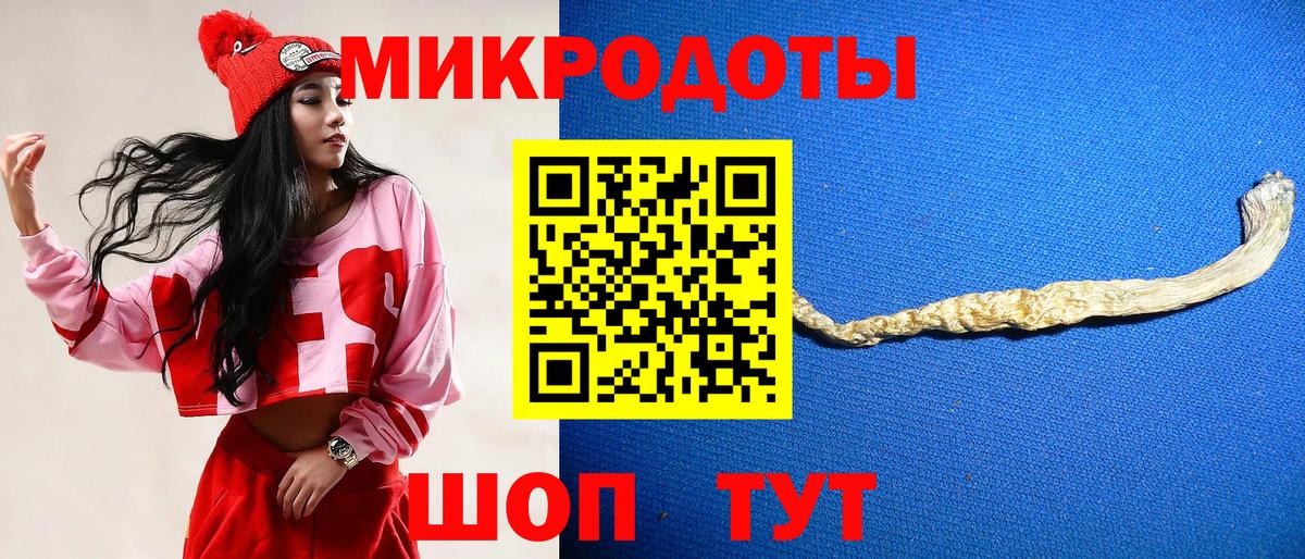Галлюциногенные грибы Cubensis Михайловск